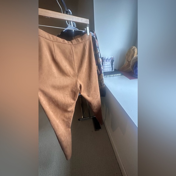 Suede Pants - Picture 10 of 13